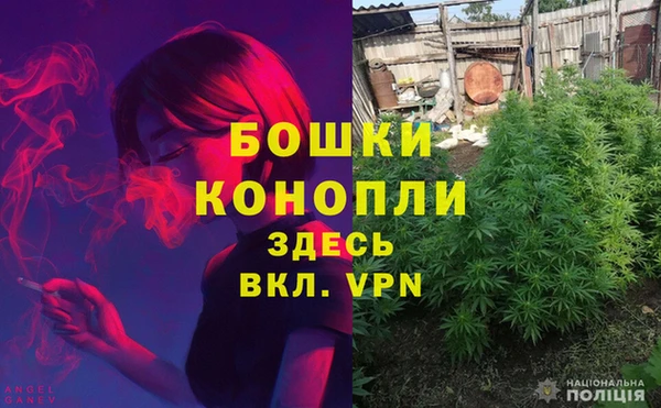 индика Аркадак