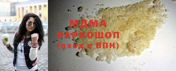 индика Аркадак