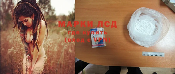 индика Аркадак