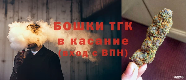 ешки Арсеньев