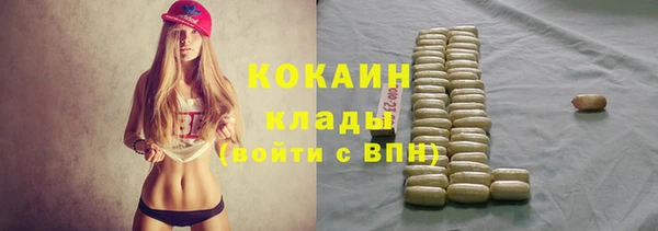 индика Аркадак