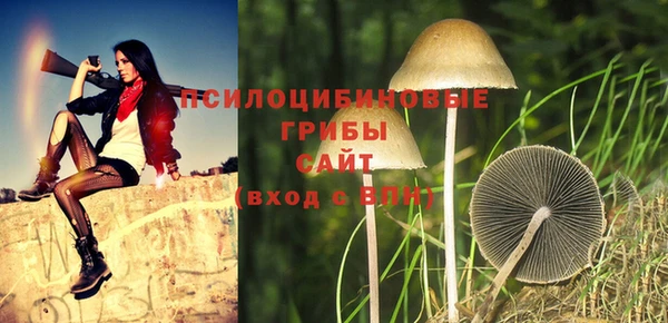ешки Арсеньев
