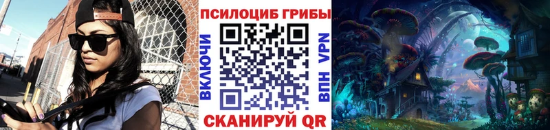 наркотики  Гурьевск  Псилоцибиновые грибы GOLDEN TEACHER 